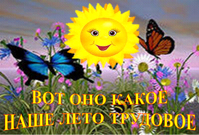 Трудовое лето в разгаре!