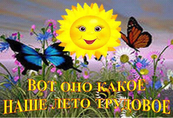 Трудовое лето в разгаре!