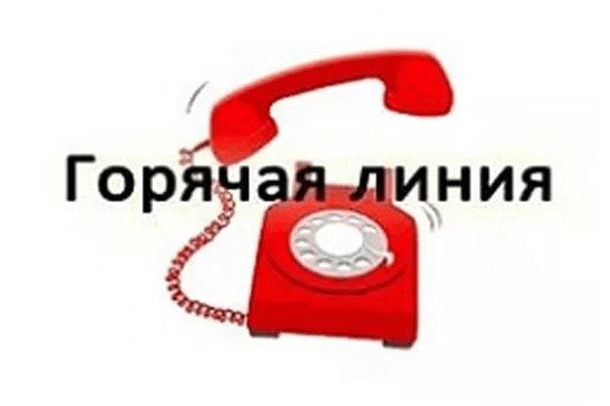 Горячая линия по вопросам установления статуса и предоставления мер социальной поддержки детям погибших Участников Великой Отечественной войны и приравненным к ним лицам в части назначения ежемесячной социальной выплаты