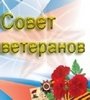 Доклад начальника управления социальной защиты населения Натальи Истоминой на заседании Президиума Совета ветеранов Октябрьского муниципального района