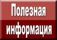 О предоставлении услуг негосударственными организациями